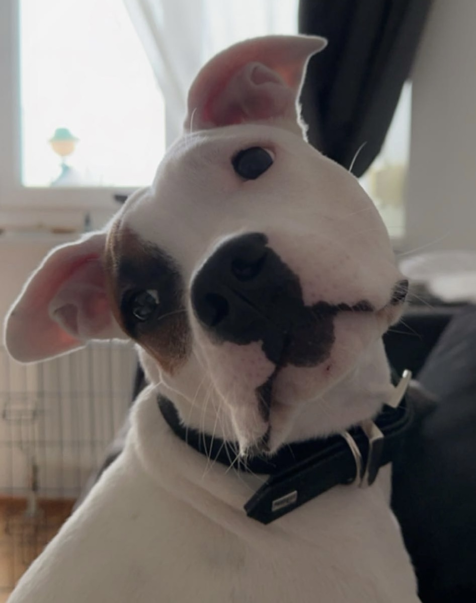 Nala