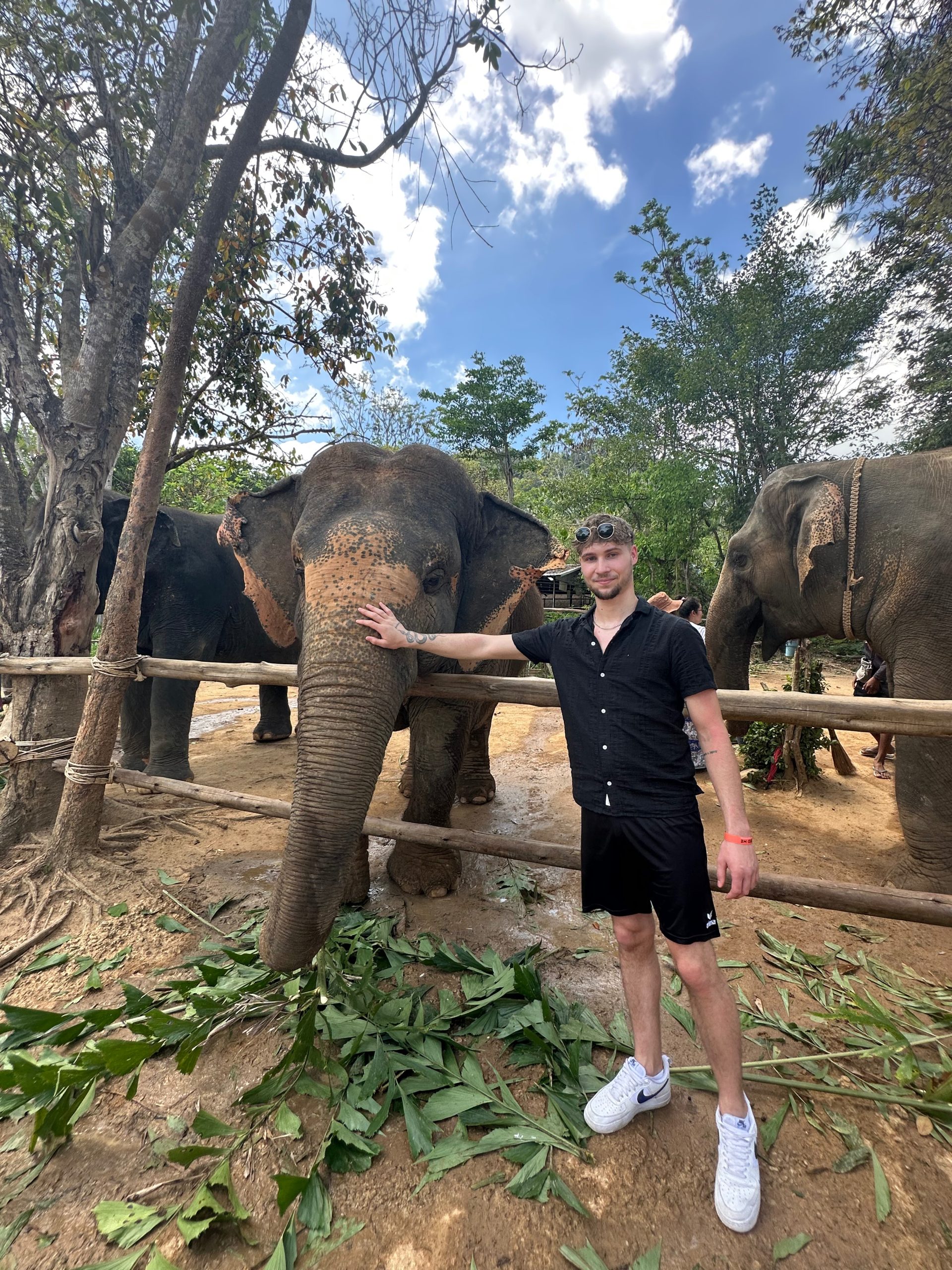 Leon streichelt einen Elefanten in Thailand